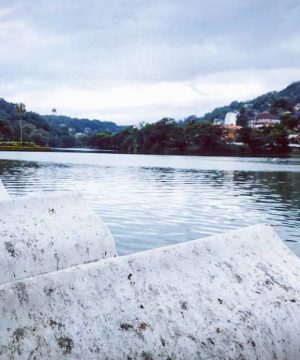 kandy-shiroshi-gunarathna-002